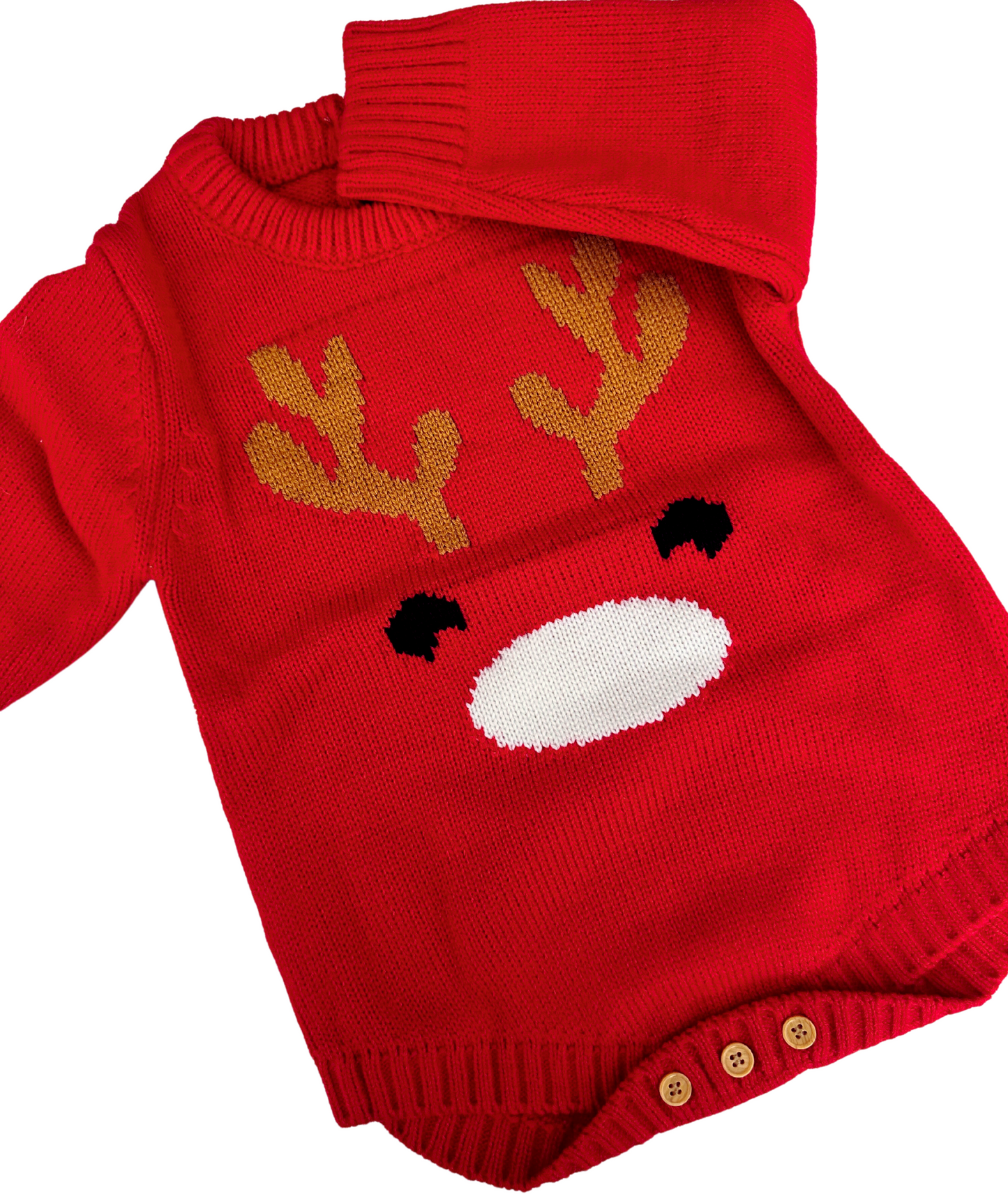 Ranita de nariz de reno